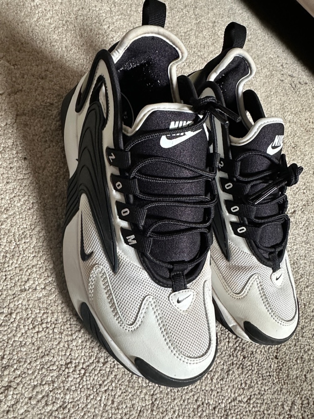Nike Zoom Air